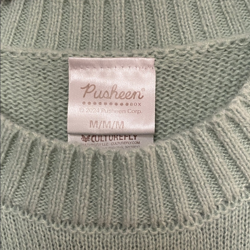 NWOT Pusheen Box Green Knit Sweater size Medium - Picture 2 of 3